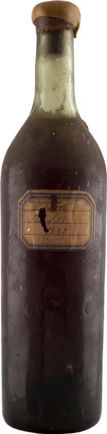 Malaga 1886 Scheyell Vintage Cognac - Rue Pinard